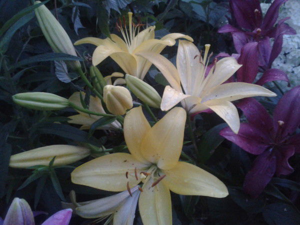 Инна Владимировна...