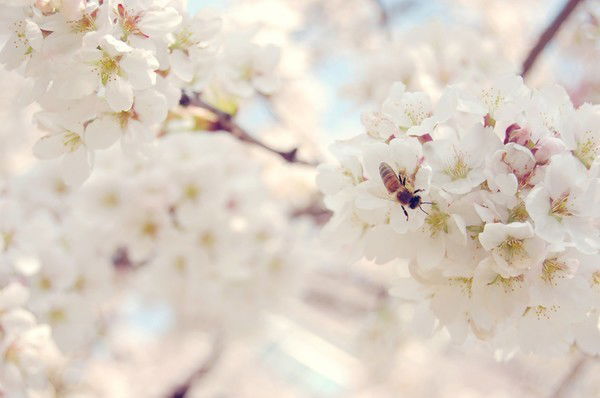 Айгуль Исаханова