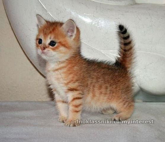 Нуржан Бакытбеков