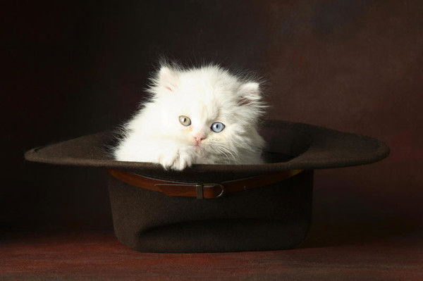 Елена Пашкова(Карасева)