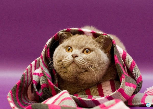 Матильда.ru *****