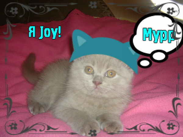 Сергей Косов