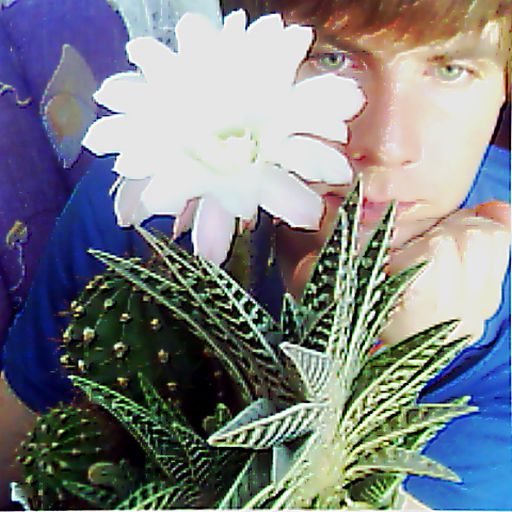 Ромбаль Коше