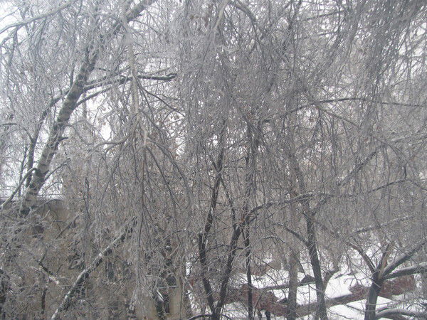 Петр Сиренко