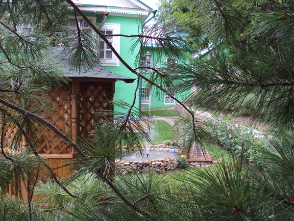 Эльвира Черникова