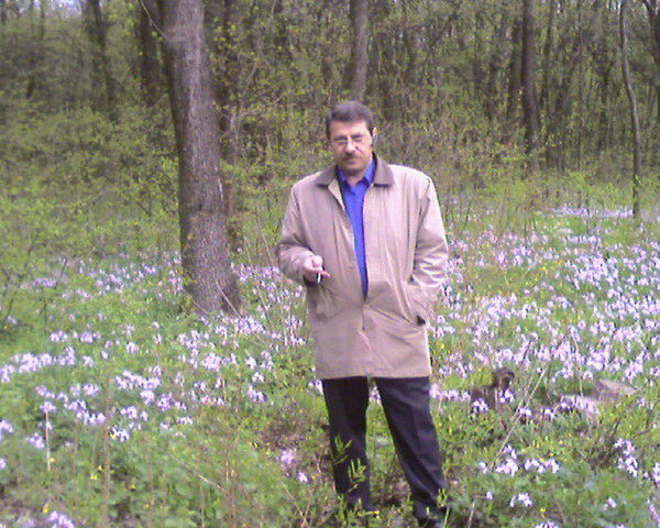 Александр Давыдович