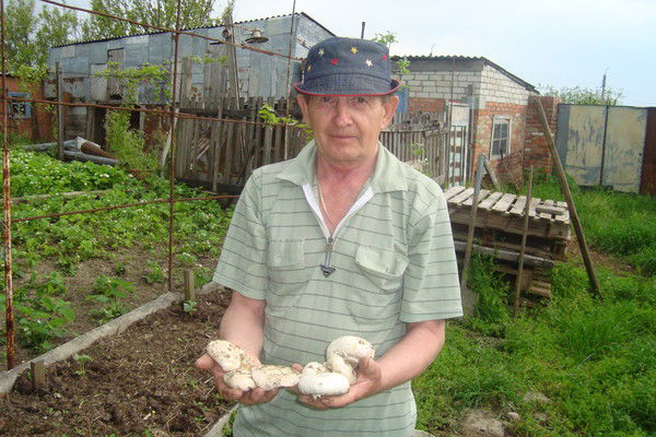 Юрий Михайлович Аксёнов