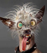 Марина Нетесова