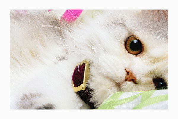 Анжела Пикалюк