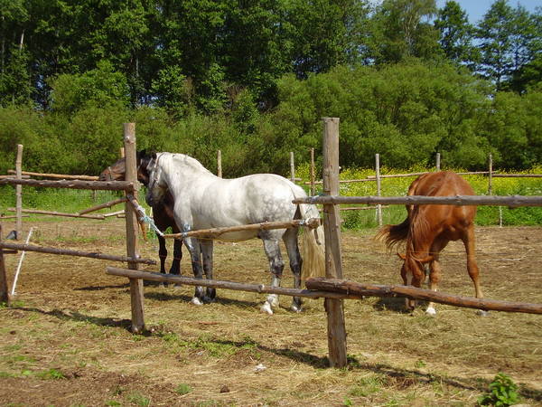 Евгений Рябов