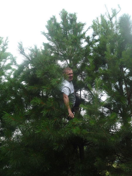 Владислав Прачев