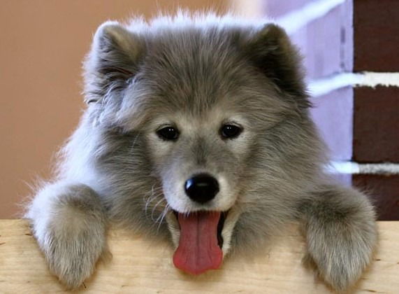 Юлия Лупеева