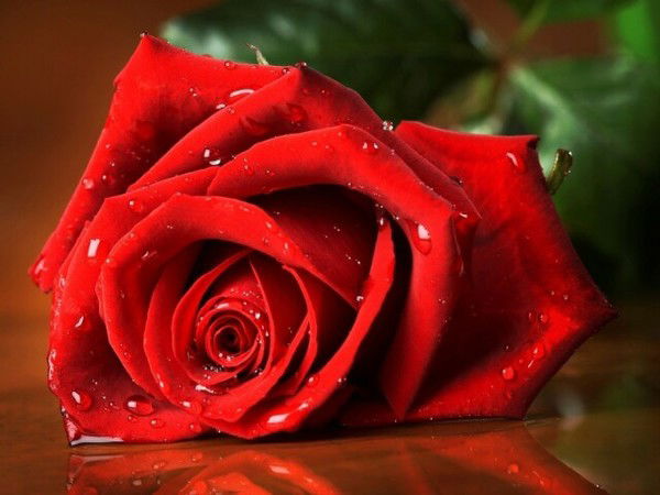 Karashash Janadilova