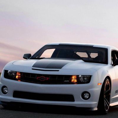 Владик Маркелов