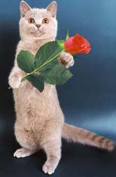 Сергей Панасов