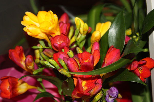 Анна Щербакова