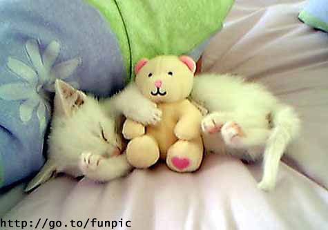 Кристина Мусиенко