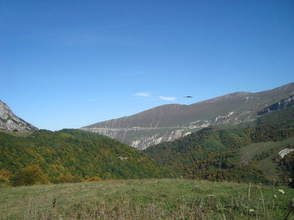 Гумбетовский Район Усзн