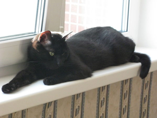 Ольга Лебига