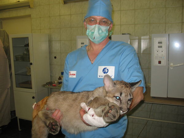 Александр Редичев