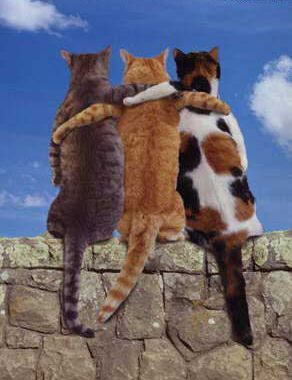 Юля Пасевина