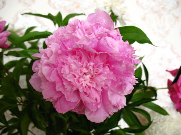 Александр Чернов