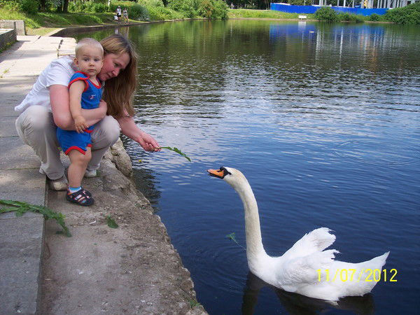 Светлана Новицкая