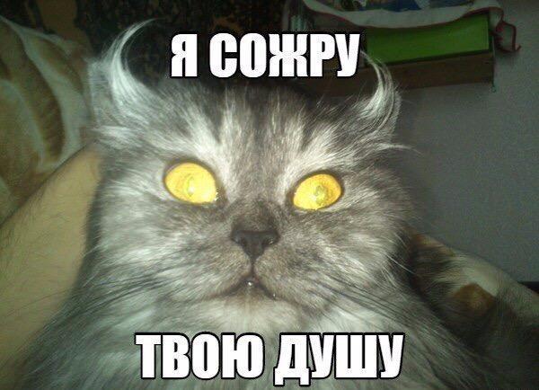 Вовочка Тютчев