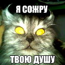 Вовочка Тютчев