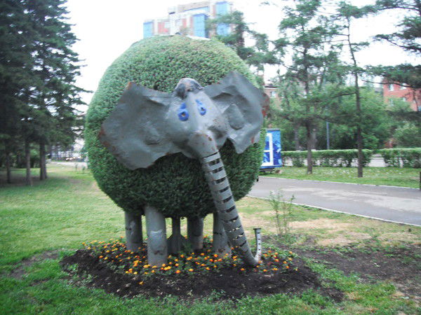 Наталья Миткус