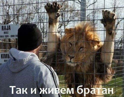 Соломон Минор