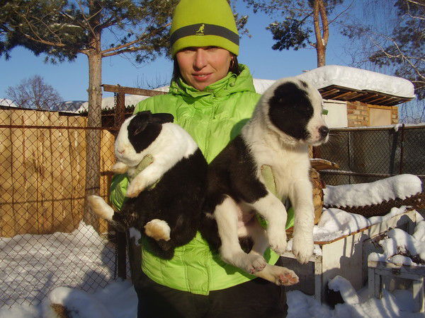 Динара Краснова