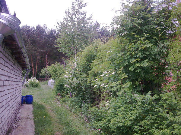 Мария Потанина