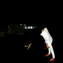 Вова Путинцев