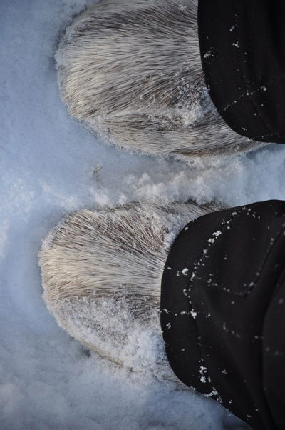 Мария Аносова