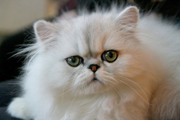 Татьяна Савицкая