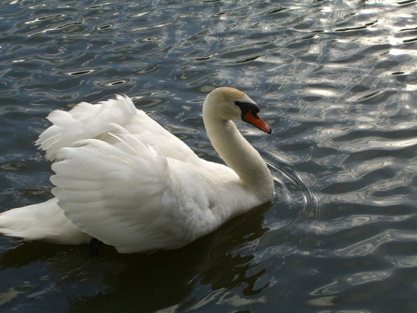 Юлия Барабанова