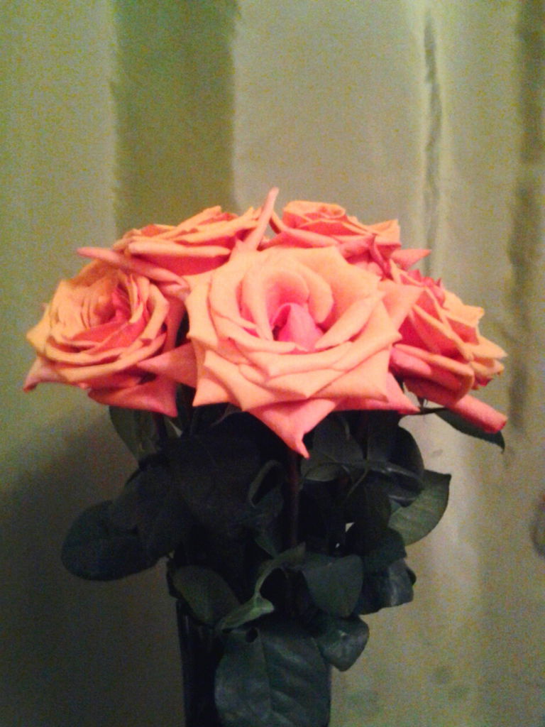 Марина Кекух