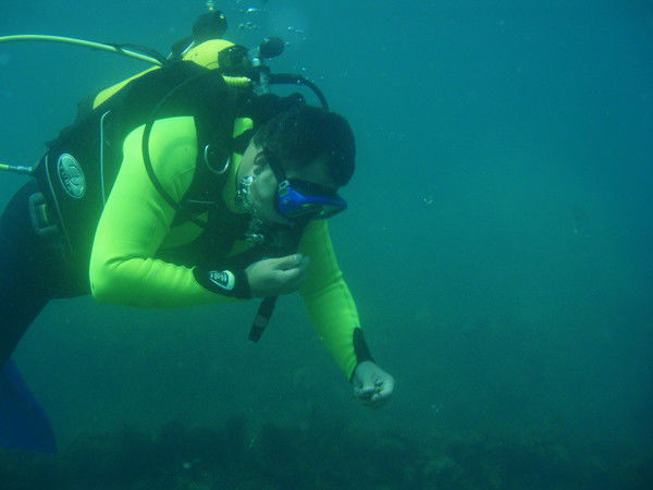 Валерий Ена