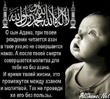 Фирдавс Джураев