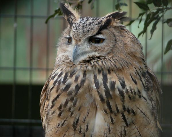 Иванов Михаил