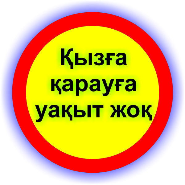 Шынгыс Жайнарбекулы