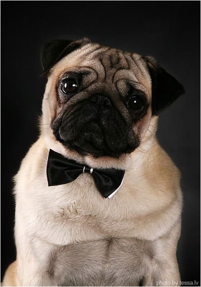 Анастасия Воробьева