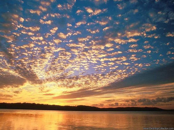 Лена Губанова