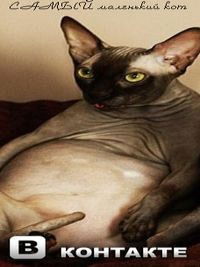 Анатолий Андросенко