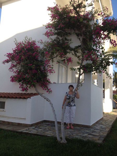 Людмила Литвина