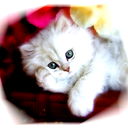 Марина Смирнова