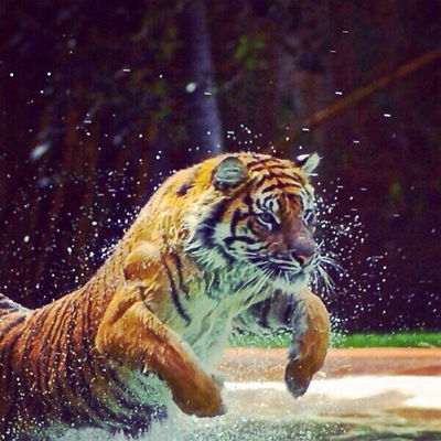 Владимир Морозов