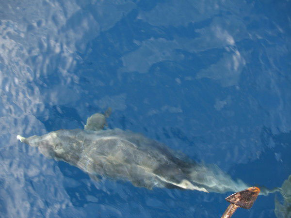 Акбопе Каракулова