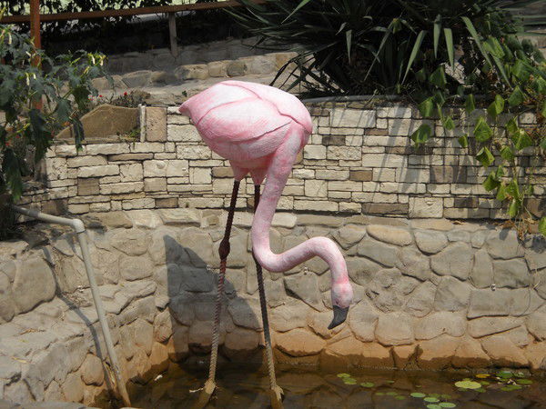 Лада Асадуллина